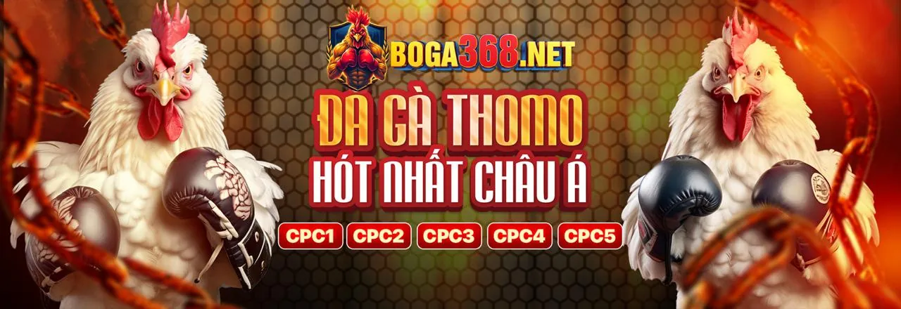 tg88okwin Đá Gà Trực Tuyến